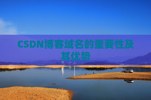 CSDN博客域名的重要性及其优势